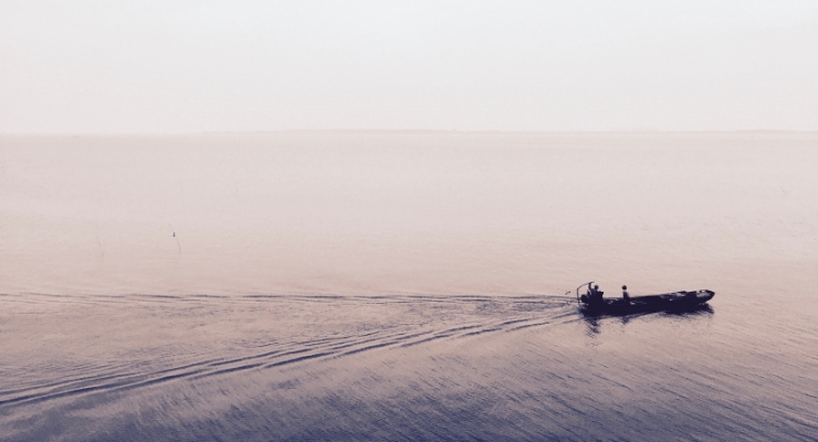 Gizli Story İzleme ve Cutegro Rehberi